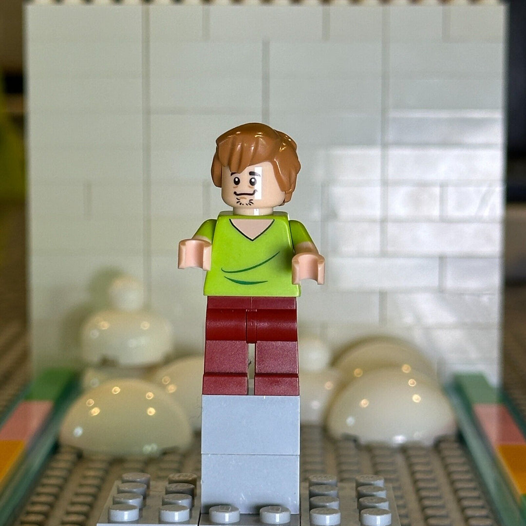 LEGO Dimensions Shaggy Rogers - Closed Mouth scd001