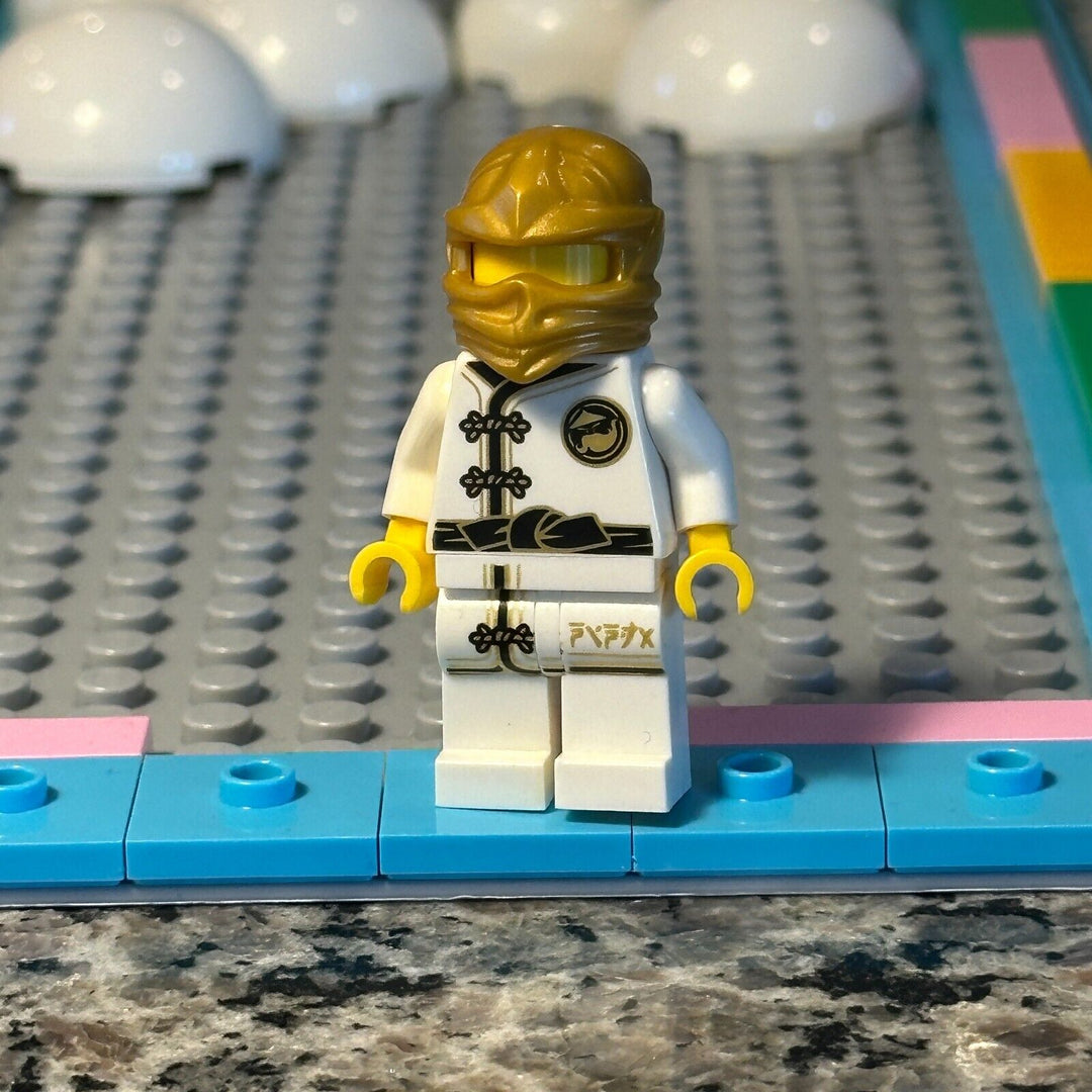 LEGO Ninjago Movie Mannequin - Hood njo343