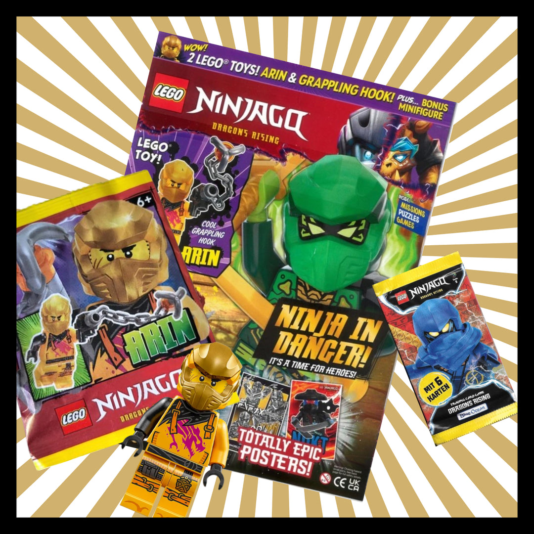 🐉 The Brickheads Box – Monthly Subscription Box - Free Shipping
