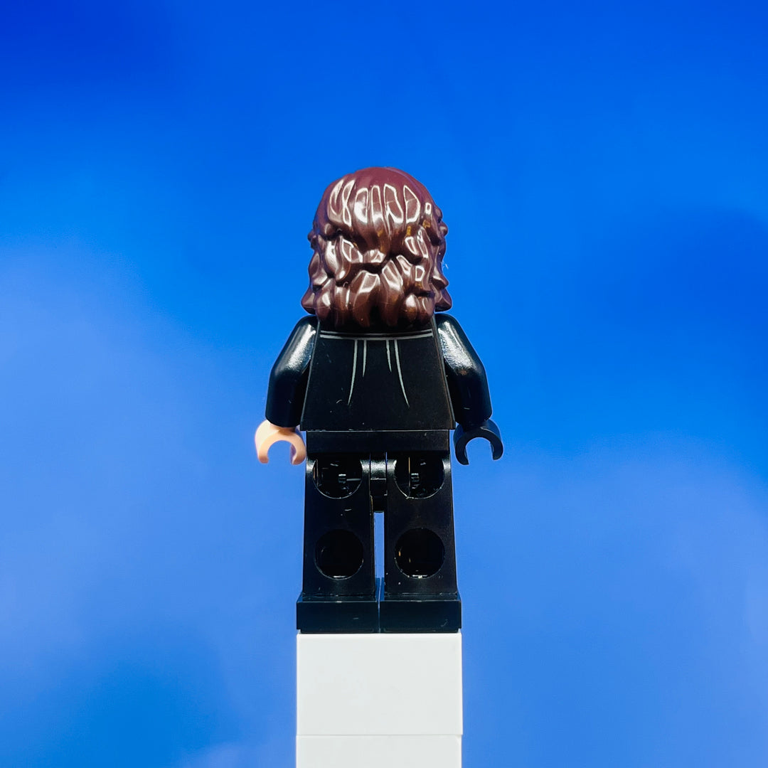 LEGO Harry Potter Minifigure Scabior hp426