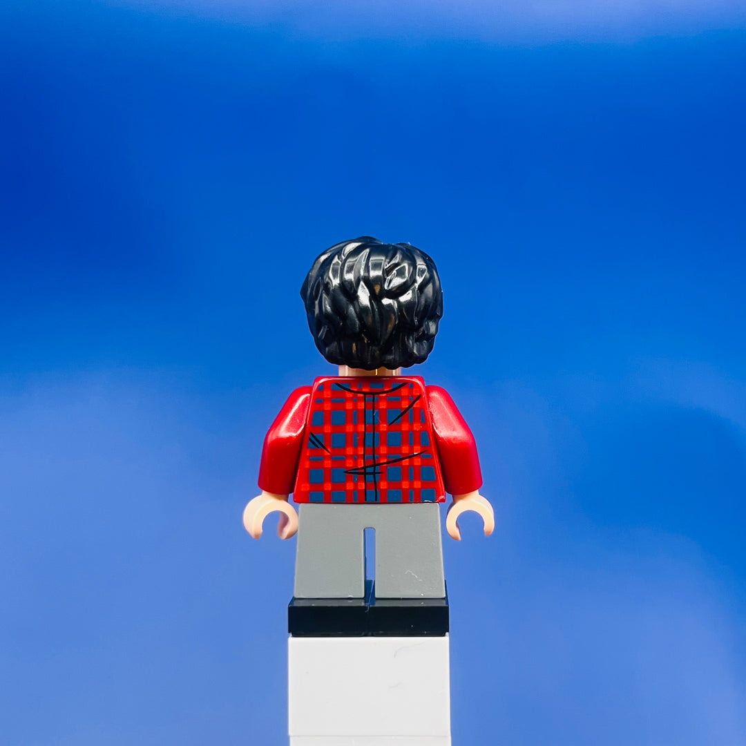 LEGO Harry Potter Minifigure Harry Potter _ Dark Red Plaid Flannel Shirt, Dark Bluish Gray Legs hp143