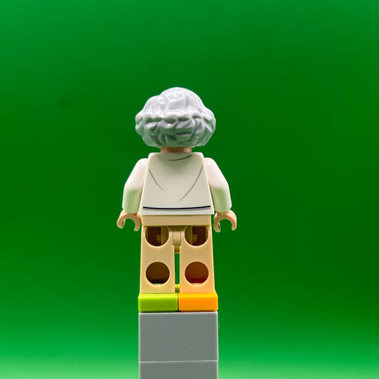 LEGO Ideas Minifigure Nancy G. Roman idea036