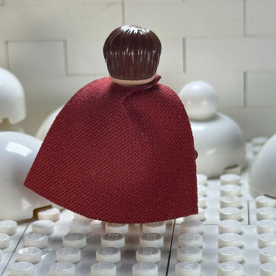 LEGO Harry Potter Minifigure Harry Potter - Dark Red Quidditch Uniform hp138