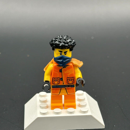 LEGO 71822 MINIFIGURE ARIN Ninjago from Source Dragon of Motion 71814 njo898