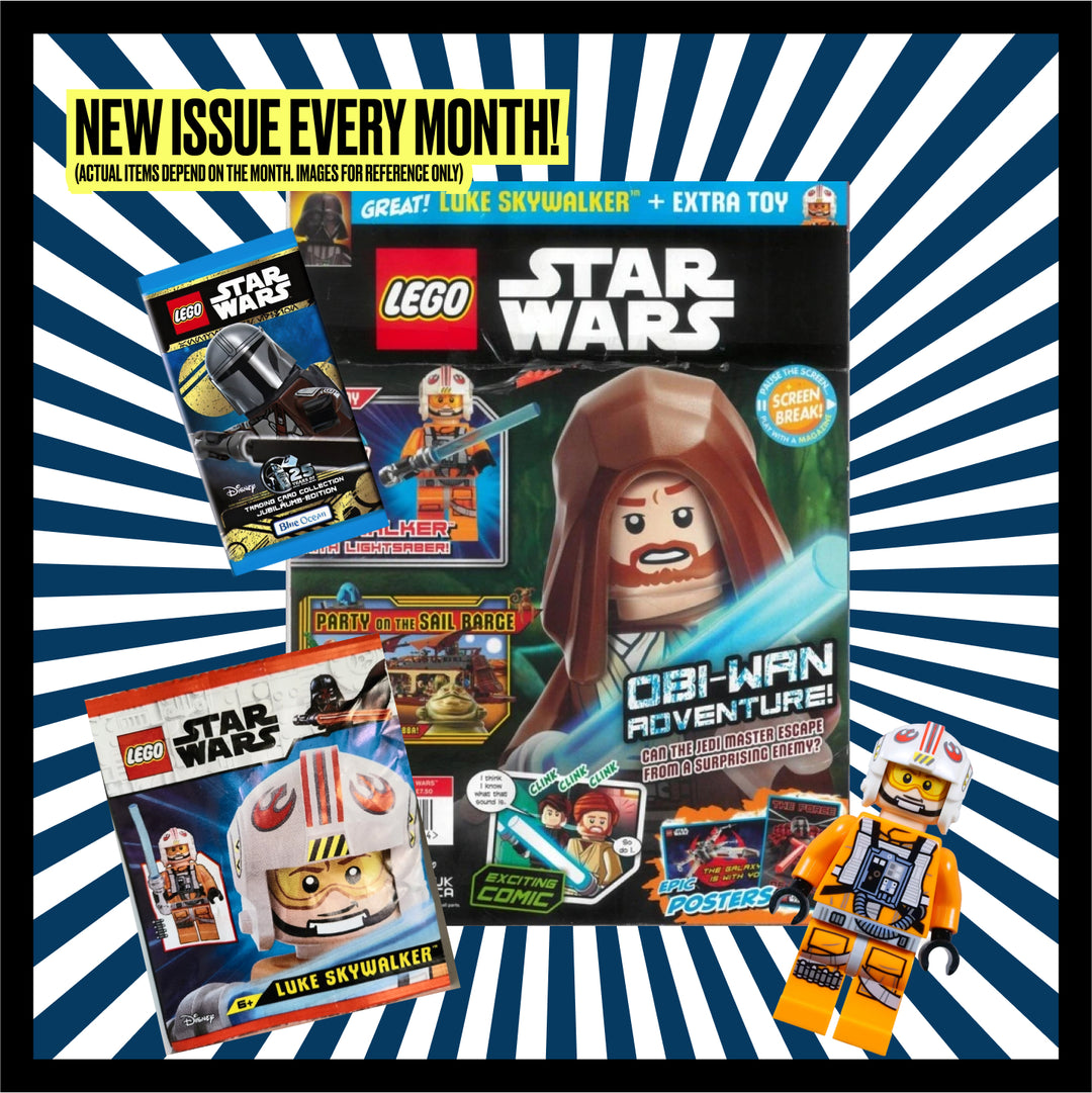 The Brickheads Box – Monthly Subscription Box - Free Shipping