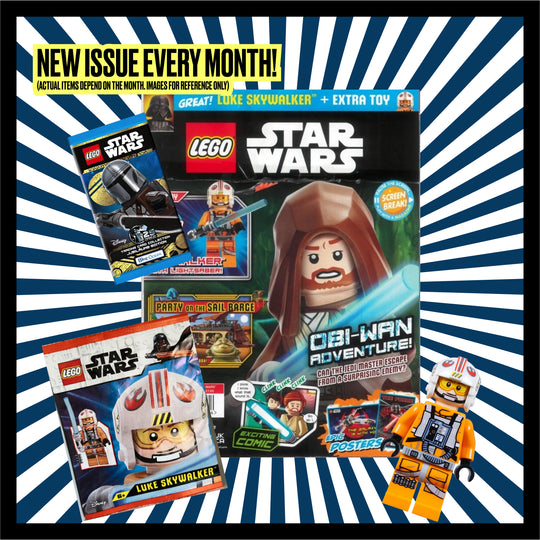 The Brickheads Box – Monthly Subscription Box - Free Shipping