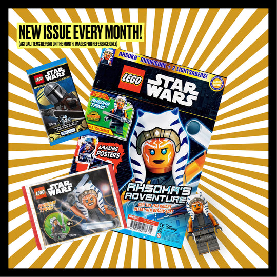 The Brickheads Box – Monthly Subscription Box - Free Shipping